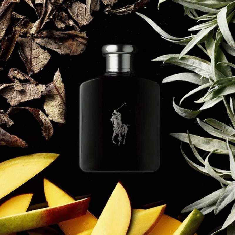 POLO BLACK RALPH LAUREN