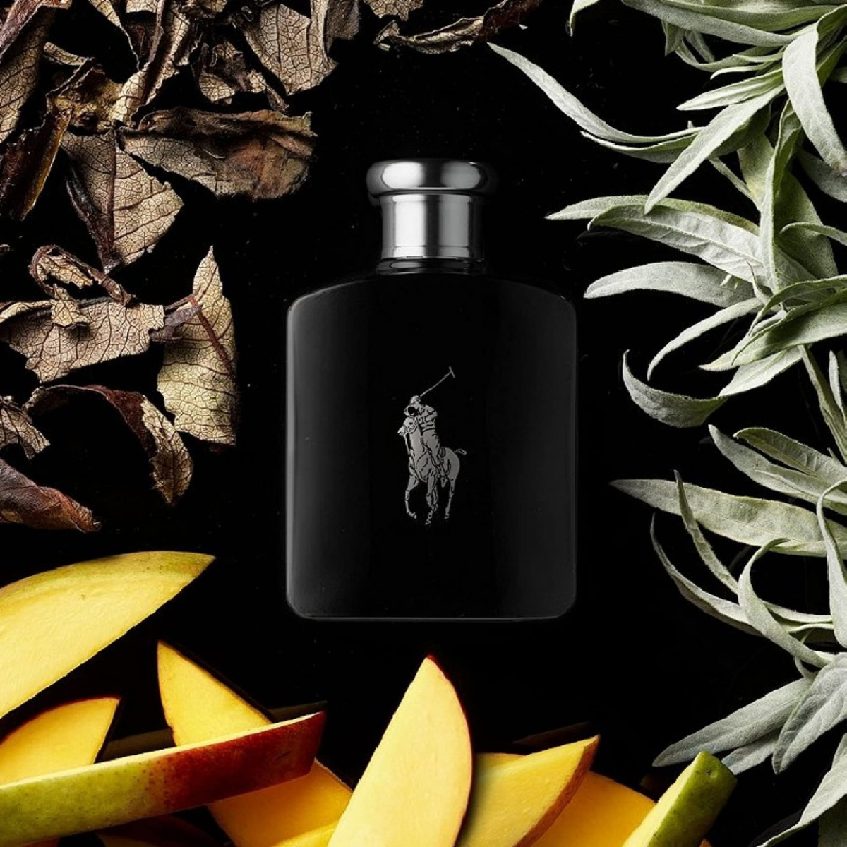 POLO BLACK RALPH LAUREN