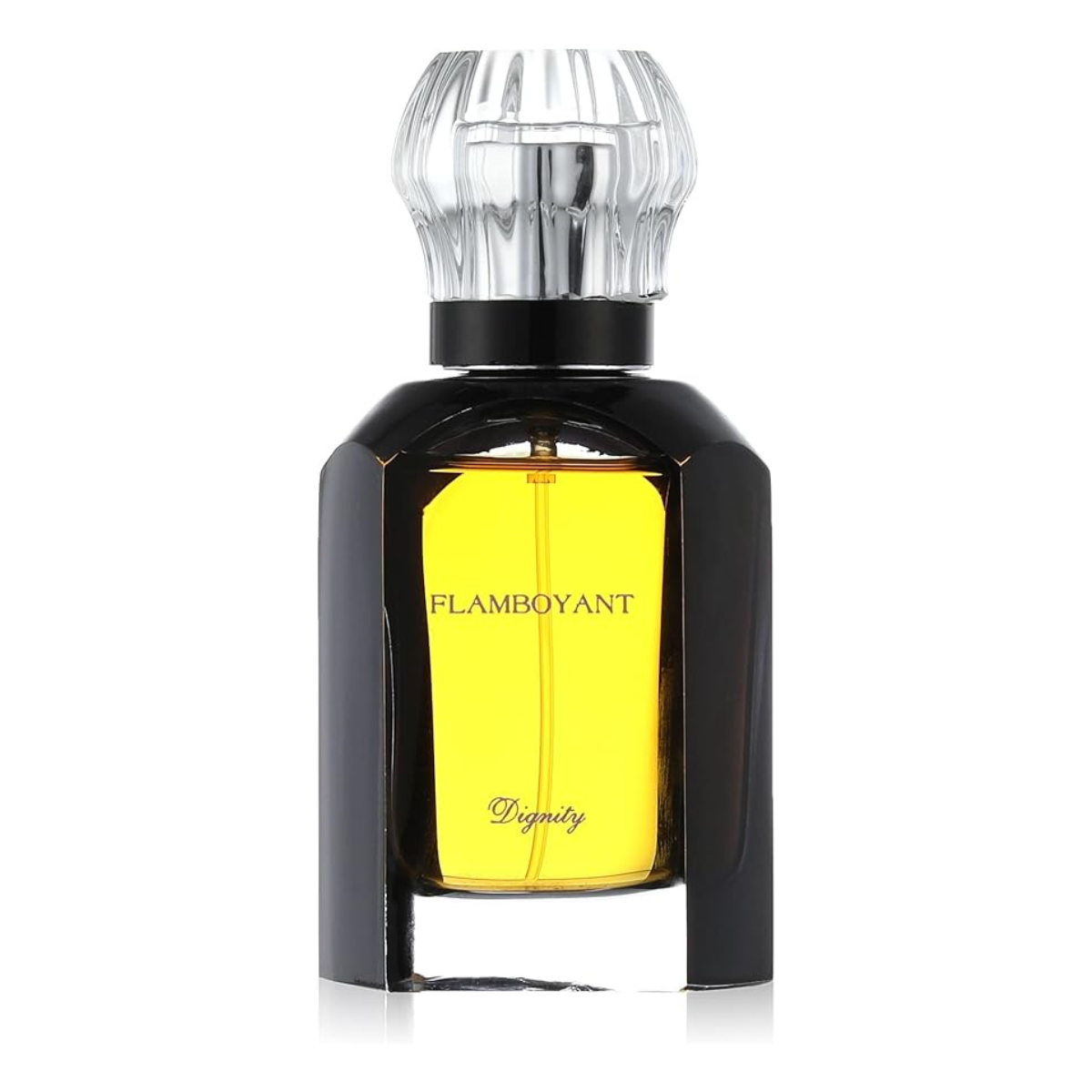 Flamboyant Dignity 100ML - Image 2