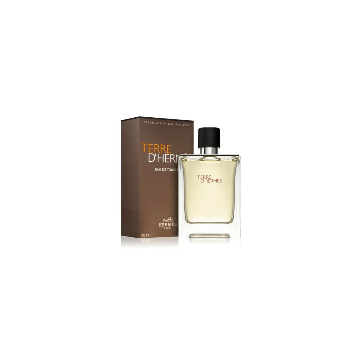 Hermes Terre Dhermes / EDT Spray 3.3 oz